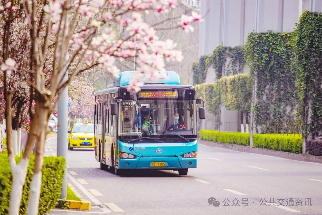 郑跃东：城市公交行业驾驶员心理健康调查及对策建议